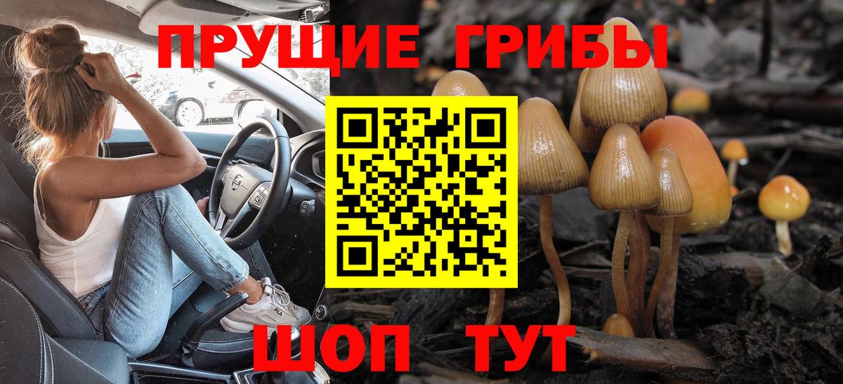 Псилоцибиновые грибы прущие грибы  Вход с VPN  Медногорск  Галлюциногенные грибы GOLDEN TEACHER 