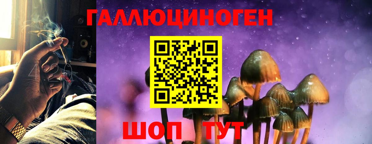 Галлюциногенные грибы ЛСД Медногорск